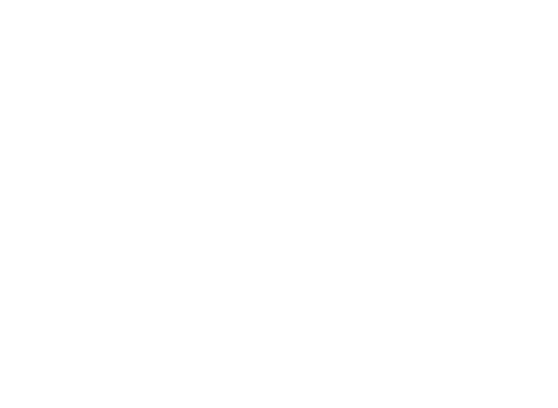 BLP logo white