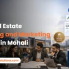 Top Real Estate Branding and Marketing Agency in Mohali